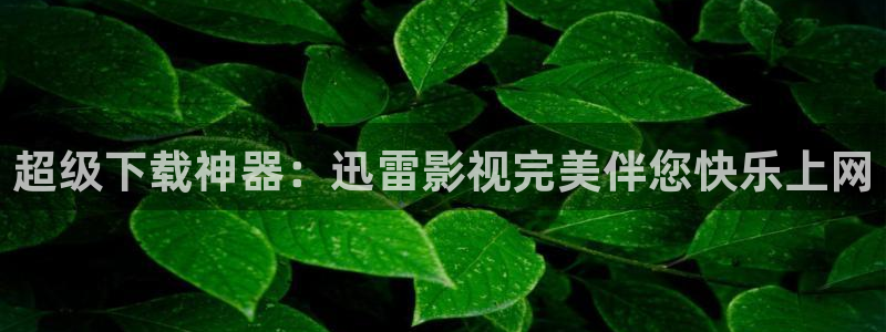羞羞影院cx：超级下载神器：迅雷影视完美伴您快乐上网