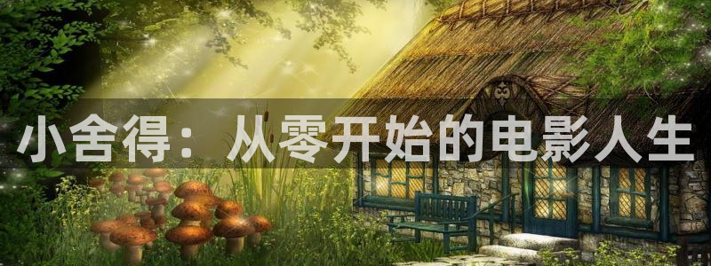 羞羞影院羞羞免费：小舍得：从零开始的电影人生
