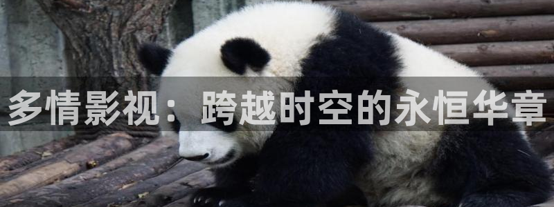 羞羞影院久久：多情影视：跨越时空的永恒华章