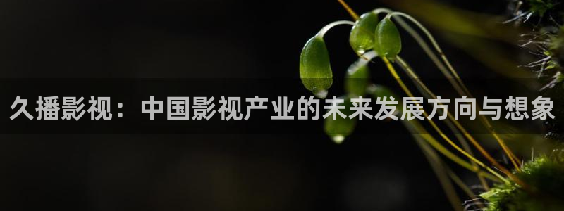 羞羞影院在线免费观看：久播影视：中国影视产业的未来发展方向与想象
