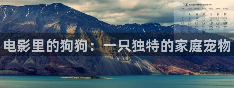 羞羞影院网站